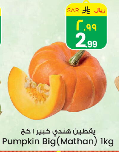 Pumpkin available at ستي فلاور in مملكة العربية السعودية, السعودية, سعودية - حائل‎