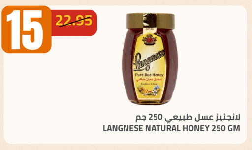 available at Astra Markets in KSA, Saudi Arabia, Saudi - Tabuk