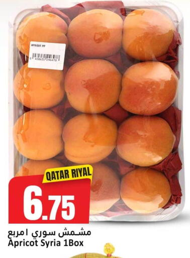 Apricot available at دانة هايبرماركت in قطر - الشحانية