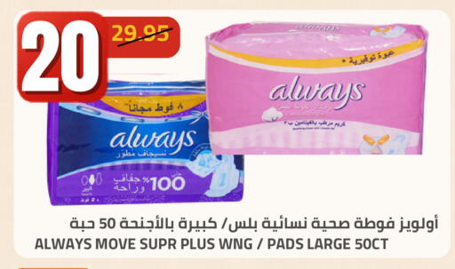 available at Astra Markets in KSA, Saudi Arabia, Saudi - Tabuk