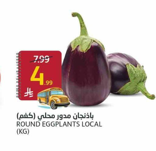 available at أسواق الجزيرة in مملكة العربية السعودية, السعودية, سعودية - الرياض
