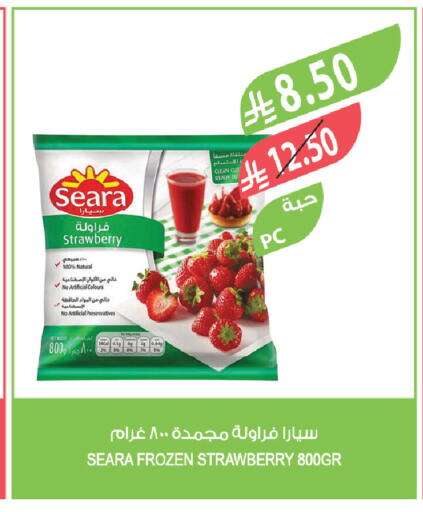 Strawberry available at Farm  in KSA, Saudi Arabia, Saudi - Abha