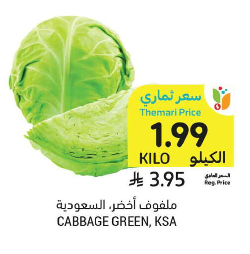Cabbage available at أسواق التميمي in مملكة العربية السعودية, السعودية, سعودية - المدينة المنورة