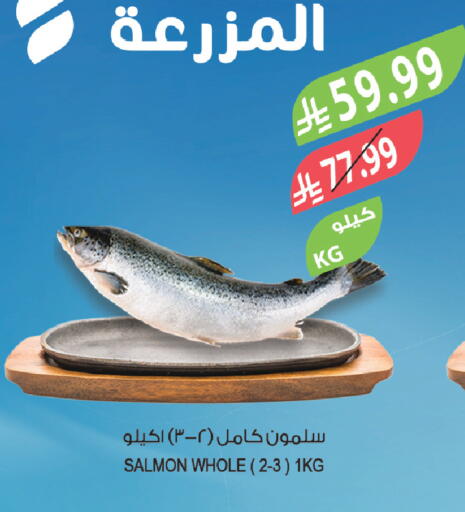 available at Farm  in KSA, Saudi Arabia, Saudi - Tabuk