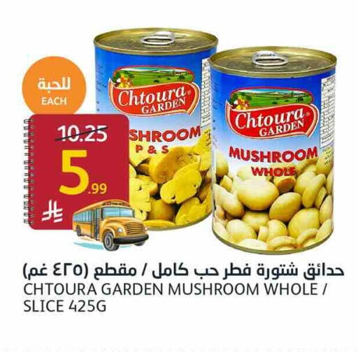 Mushroom available at أسواق الجزيرة in مملكة العربية السعودية, السعودية, سعودية - الرياض