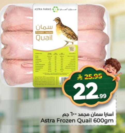 available at نستو in مملكة العربية السعودية, السعودية, سعودية - الرياض