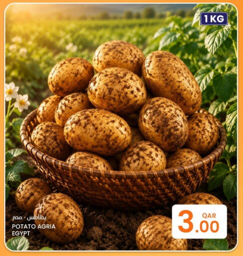 Potato from Egypt available at البلدي اليوم in قطر - الشحانية