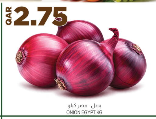 Onion from Egypt available at أسواق الملكي فرش in قطر - الشحانية