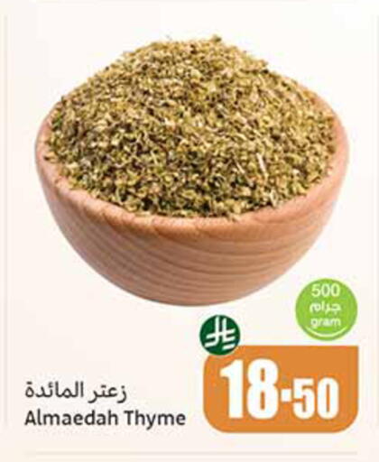 Thyme available at Othaim Markets in KSA, Saudi Arabia, Saudi - Al-Kharj
