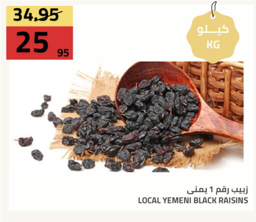 available at Astra Markets in KSA, Saudi Arabia, Saudi - Tabuk