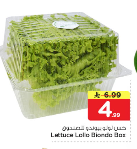 Lettuce available at نستو in مملكة العربية السعودية, السعودية, سعودية - الخرج