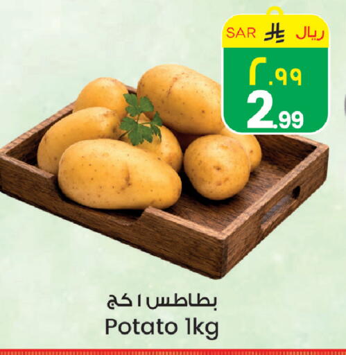 Potato available at ستي فلاور in مملكة العربية السعودية, السعودية, سعودية - سكاكا