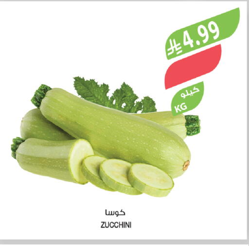 Zucchini available at Farm  in KSA, Saudi Arabia, Saudi - Abha