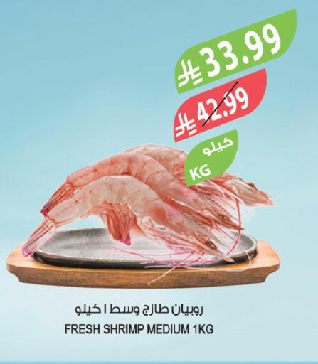 available at Farm  in KSA, Saudi Arabia, Saudi - Tabuk