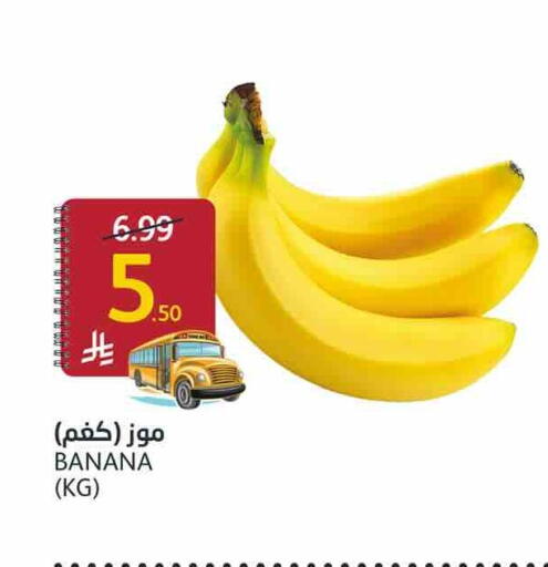 Banana available at أسواق الجزيرة in مملكة العربية السعودية, السعودية, سعودية - الرياض