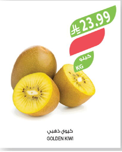 Kiwi available at Farm  in KSA, Saudi Arabia, Saudi - Tabuk