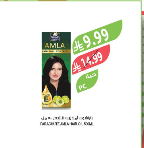 available at المزرعة in مملكة العربية السعودية, السعودية, سعودية - تبوك