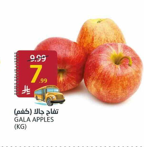 available at أسواق الجزيرة in مملكة العربية السعودية, السعودية, سعودية - الرياض