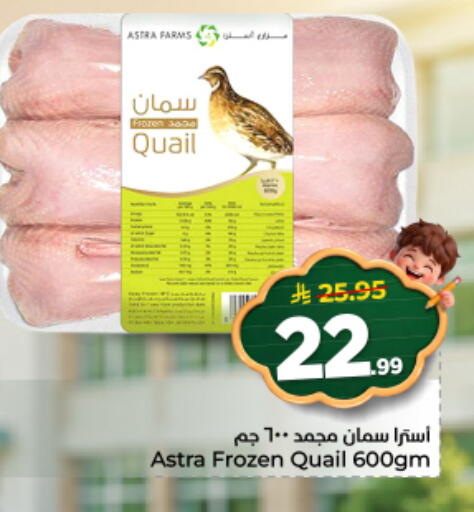 available at نستو in مملكة العربية السعودية, السعودية, سعودية - الرياض