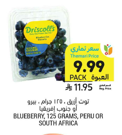 Blueberry BlueBerry from South Africa available at أسواق التميمي in مملكة العربية السعودية, السعودية, سعودية - جدة