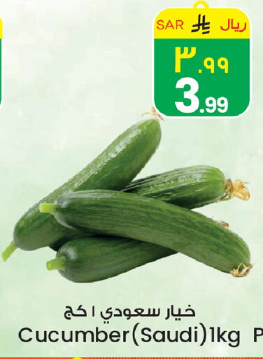 Cucumber from Saudi Arabia available at ستي فلاور in مملكة العربية السعودية, السعودية, سعودية - حائل‎