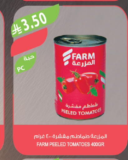 Tomato available at Farm  in KSA, Saudi Arabia, Saudi - Tabuk