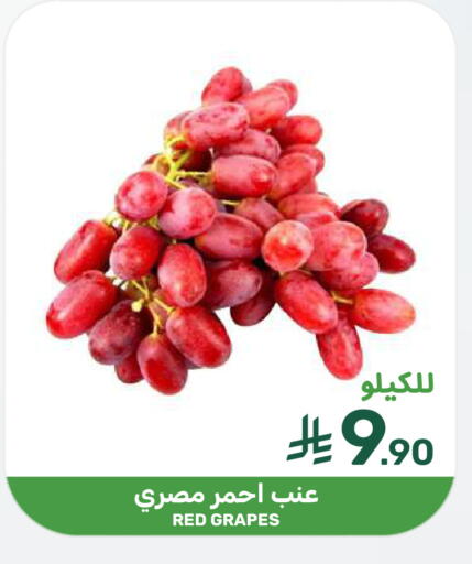 Grapes available at  مـزايــا in مملكة العربية السعودية, السعودية, سعودية - المنطقة الشرقية