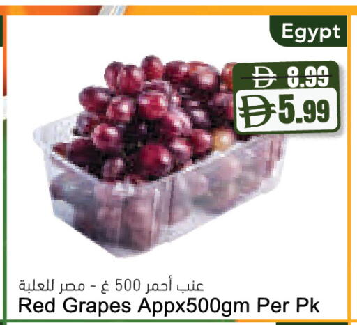 Grapes from Egypt available at المايا سوبرماركت in الإمارات العربية المتحدة , الامارات - رَأْس ٱلْخَيْمَة