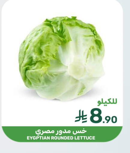 Lettuce available at Mazaya in KSA, Saudi Arabia, Saudi - Qatif