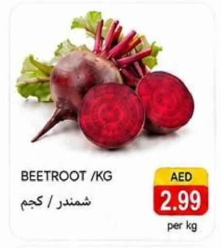 Beetroot available at  روابي ماركت عجمان in الإمارات العربية المتحدة , الامارات - الشارقة / عجمان