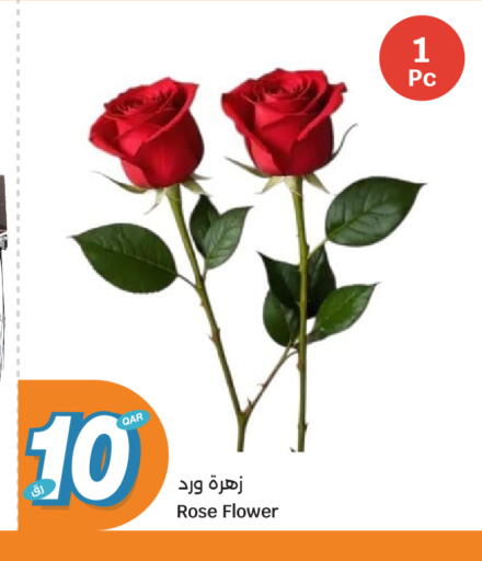 available at سيتي هايبرماركت in قطر - الشمال