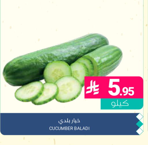 Cucumber available at اسواق المنتزه in مملكة العربية السعودية, السعودية, سعودية - القطيف‎