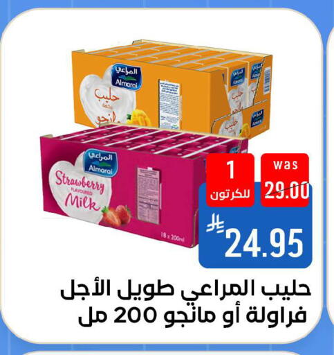 Strawberry available at شبرا الطائف in مملكة العربية السعودية, السعودية, سعودية - مكة المكرمة
