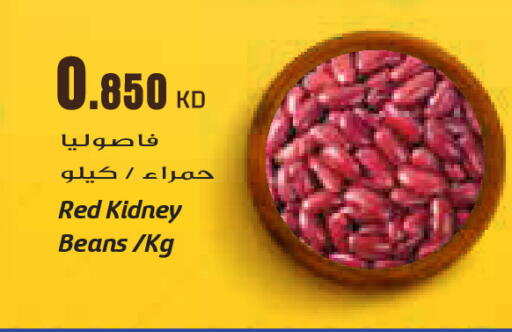 available at جراند كوستو in الكويت - مدينة الكويت