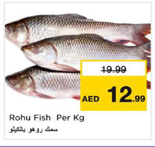 available at نستو هايبرماركت in الإمارات العربية المتحدة , الامارات - الشارقة / عجمان
