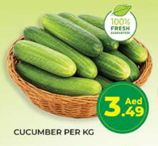 Cucumber available at Seven Emirates Supermarket in UAE - Abu Dhabi