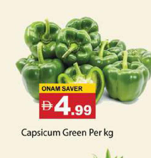 Capsicum available at جلف هايبرماركت ذ.م.م in الإمارات العربية المتحدة , الامارات - رَأْس ٱلْخَيْمَة