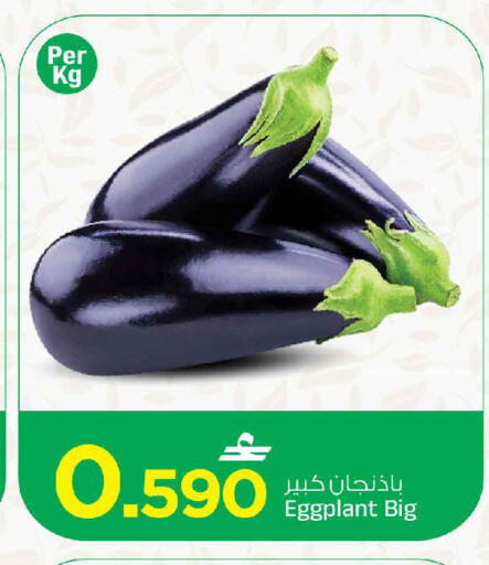 Eggplant available at MARK & SAVE in Oman - Sohar