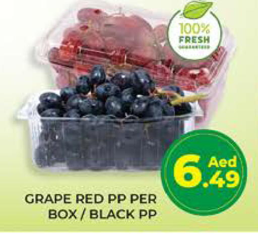 available at Seven Emirates Supermarket in UAE - Abu Dhabi