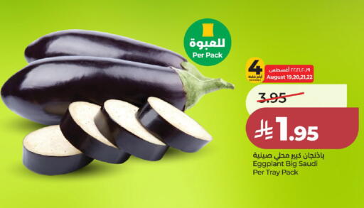 Eggplant from Saudi Arabia available at LULU Hypermarket in KSA, Saudi Arabia, Saudi - Al-Kharj