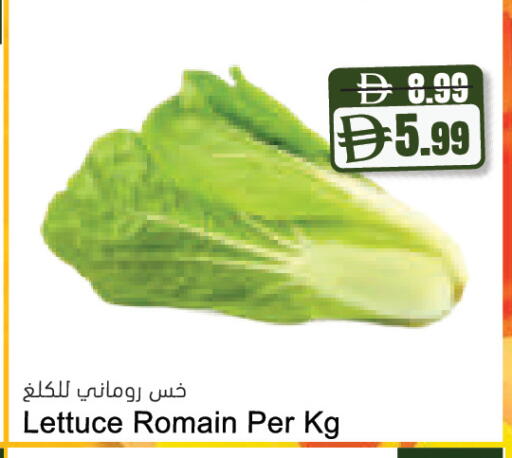Lettuce available at Almaya Supermarkets in UAE - Abu Dhabi