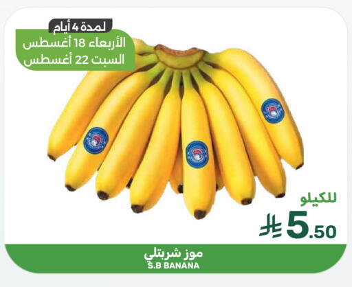 Banana available at  مـزايــا in مملكة العربية السعودية, السعودية, سعودية - القطيف‎