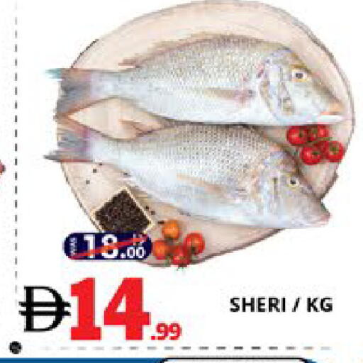 available at EXPRESS AL MADEENA HYPERMARKET LLC in UAE - Abu Dhabi