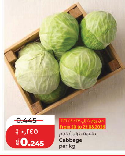 Cabbage available at Lulu Hypermarket  in Kuwait - Kuwait City