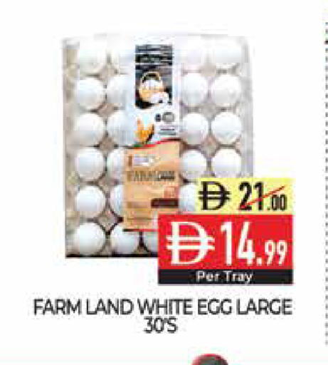 available at Delice Supermarket in UAE - Abu Dhabi