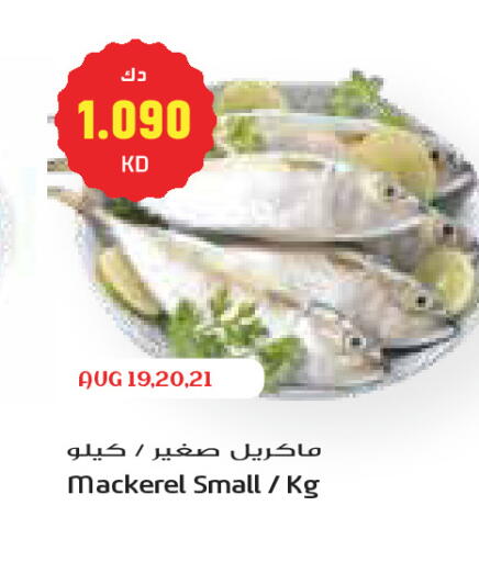 available at Grand Costo in Kuwait - Kuwait City