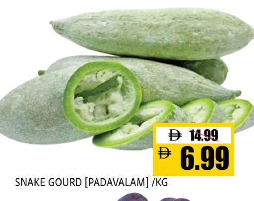 available at Leptis Hypermarket  in UAE - Al Ain