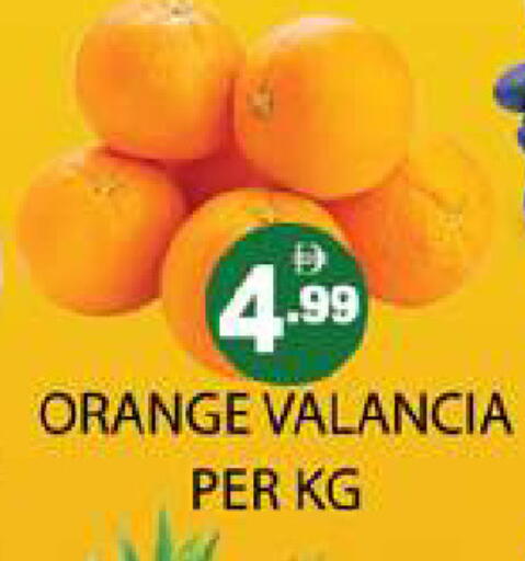 Orange from Valancia available at Zain Mart Supermarket in UAE - Ras al Khaimah