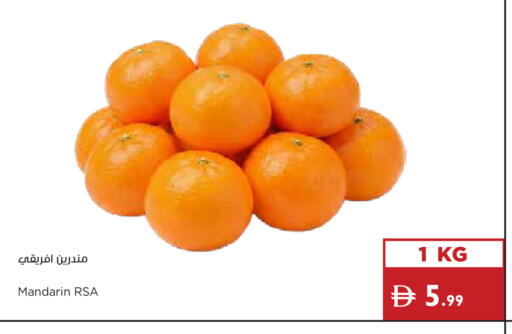 Mandarin available at Istanbul Supermarket in UAE - Dubai