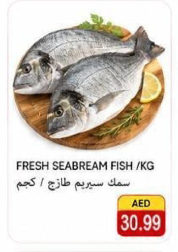 available at  روابي ماركت عجمان in الإمارات العربية المتحدة , الامارات - الشارقة / عجمان